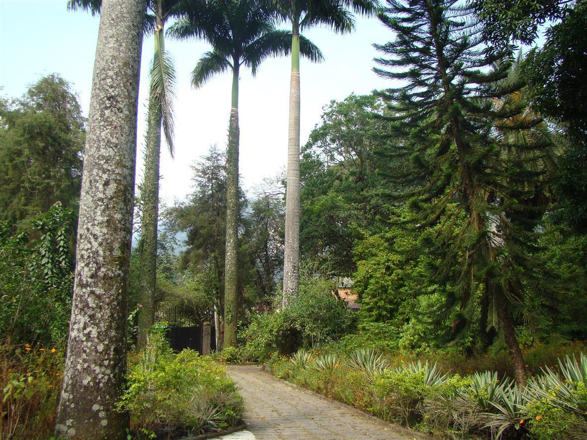 Casa De Campo Dos Sonhos Cachoeiras de Macacu Exterior photo